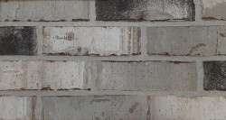 LADRILLO 3 x 10 - ENGLISH DOVE